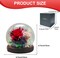 Preserved Flowers in Glass Dome, Long-Lasting Eternal Roses Birthday Gifts for Women Mom Grandma Wife Girlfriend Forever Flowers for Delivery Prime